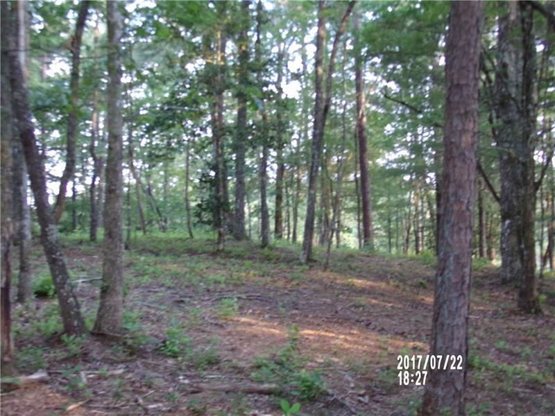 Lot 7 Chimney Ridge Road - Photo 1