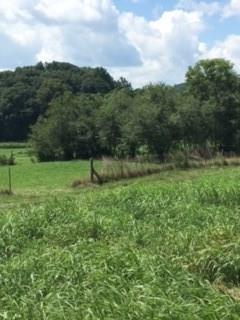 2900 Cartersville Highway - Photo 1