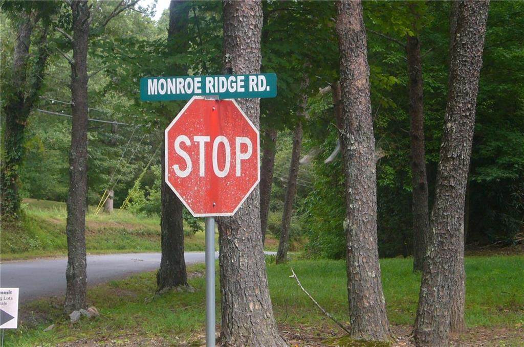 0 Monroe Ridge Road - Photo 1