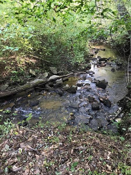 2801 Henderson Mountain Road - Photo 1