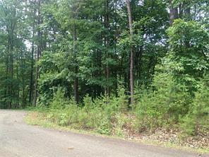 3289 Wood Poppy View - Photo 1
