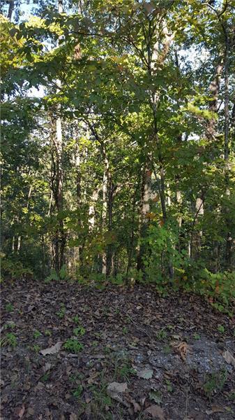 1545 Carman Way - Photo 1