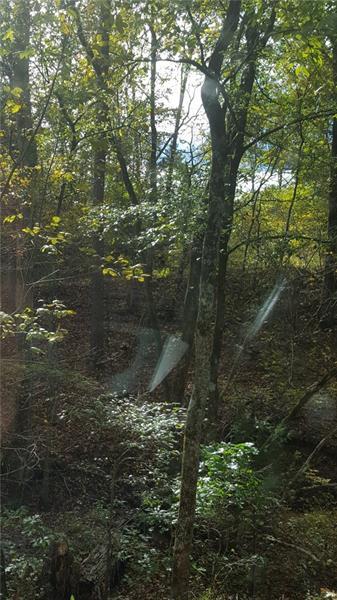 749 Oak Knoll Road - Photo 1