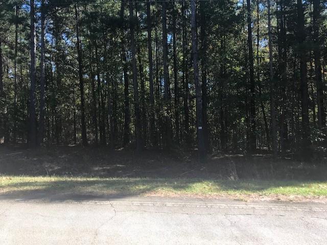 0 Ruckersville Road - Photo 1