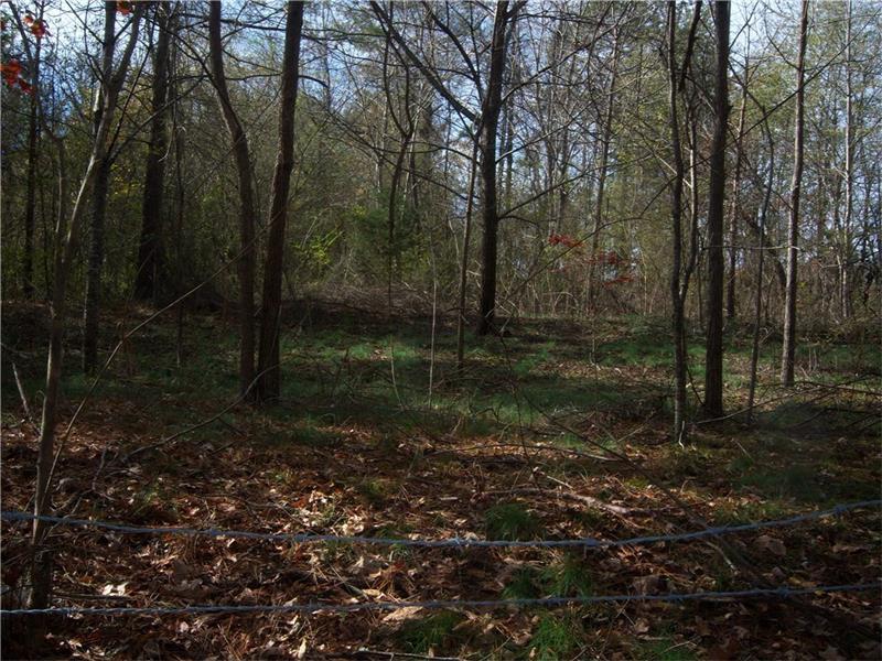 415 Sleepy Hollow Drive - Photo 1