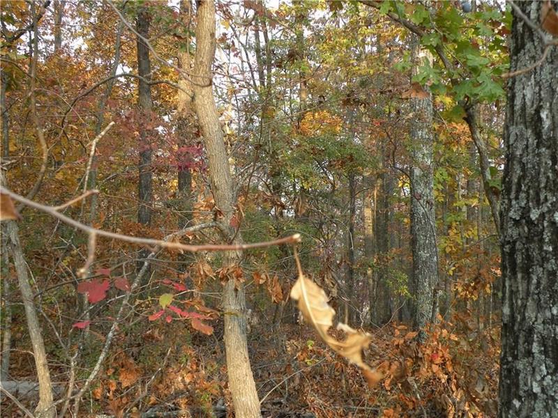 1365 Foxhound Trail - Photo 1