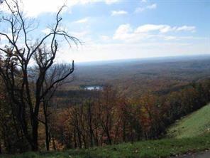 7301 Skyline Drive - Photo 1