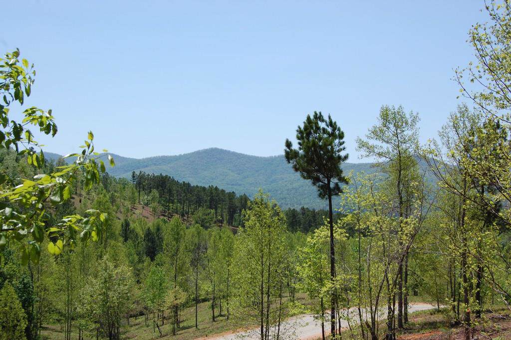 0 The Hills Lane - Photo 1
