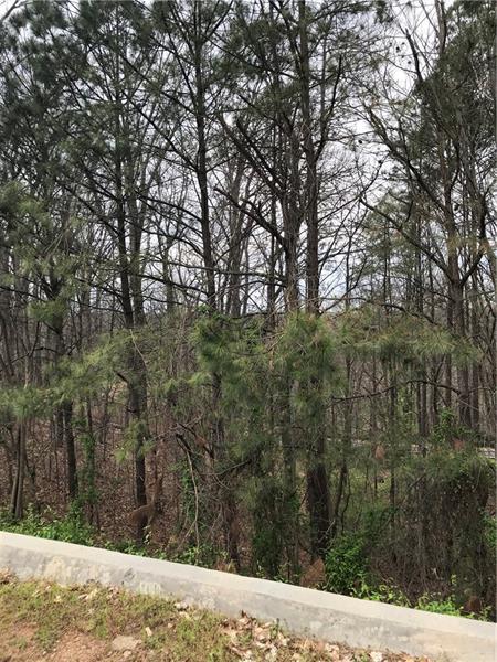 3312 Spring Hill Parkway - Photo 1