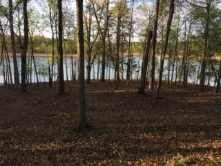 4 Pointe Sidney Drive - Photo 1