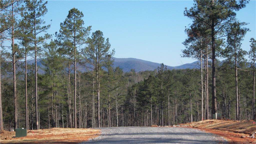 Lot 6 Station Gap - Photo 1