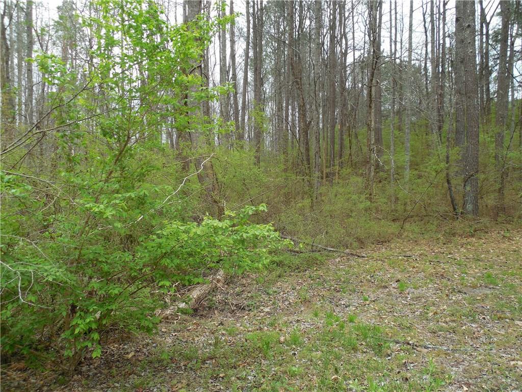 00 Green Valley Farm Road - Photo 1