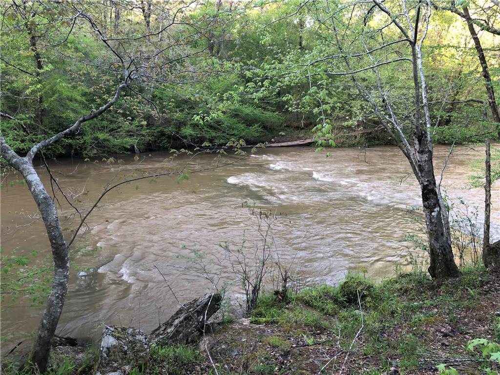 1141 Riverbanks Road - Photo 1