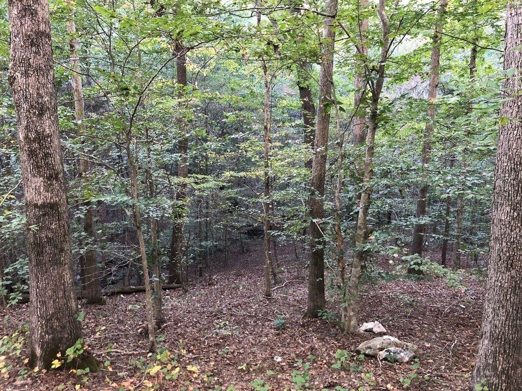 3312 Mckoy Road - Photo 1