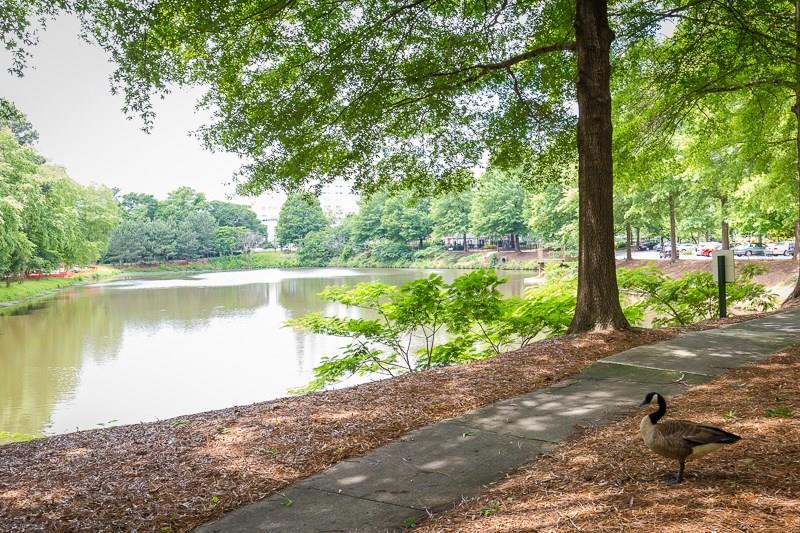 1800 Clairmont Lake - Photo 1
