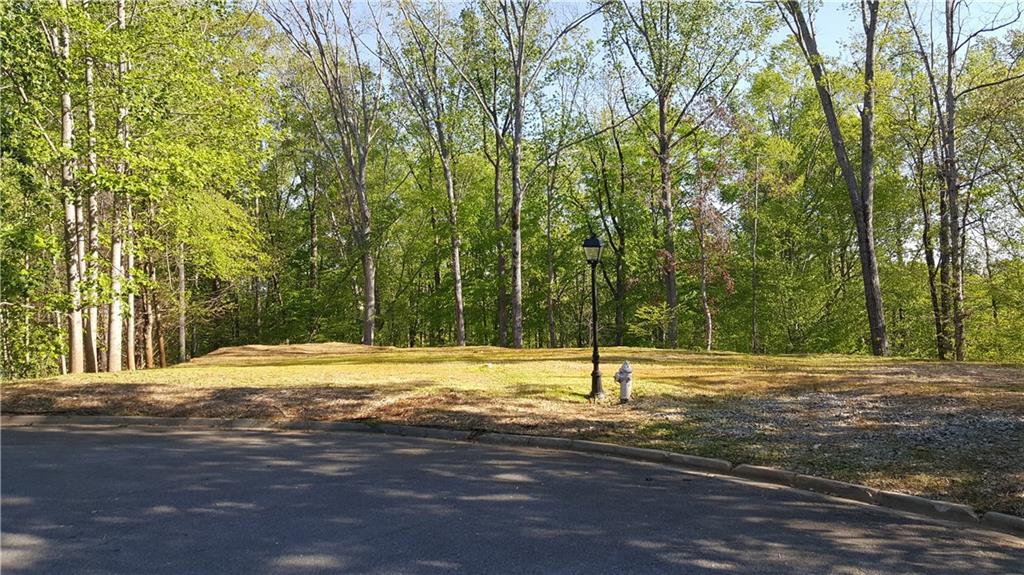 2940 Fitzgerald Trace - Photo 1