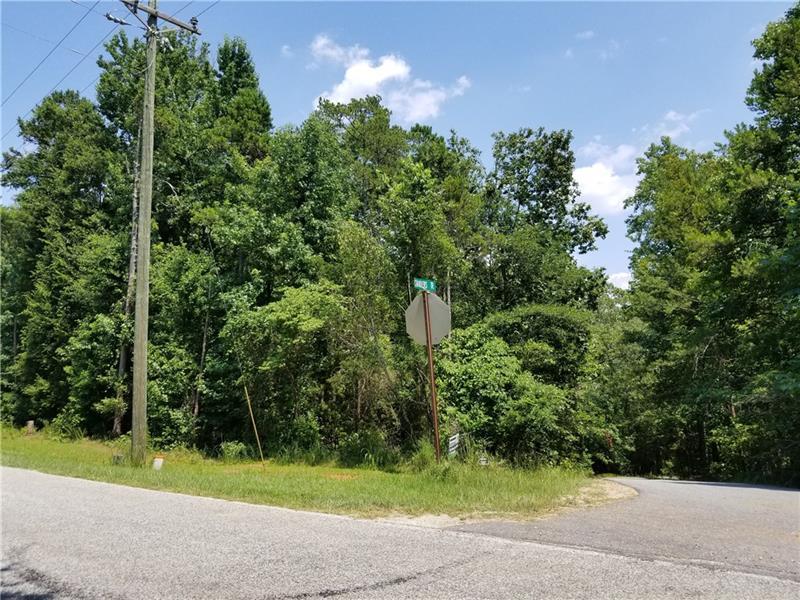 0 Chandlers Ferry Road - Photo 1
