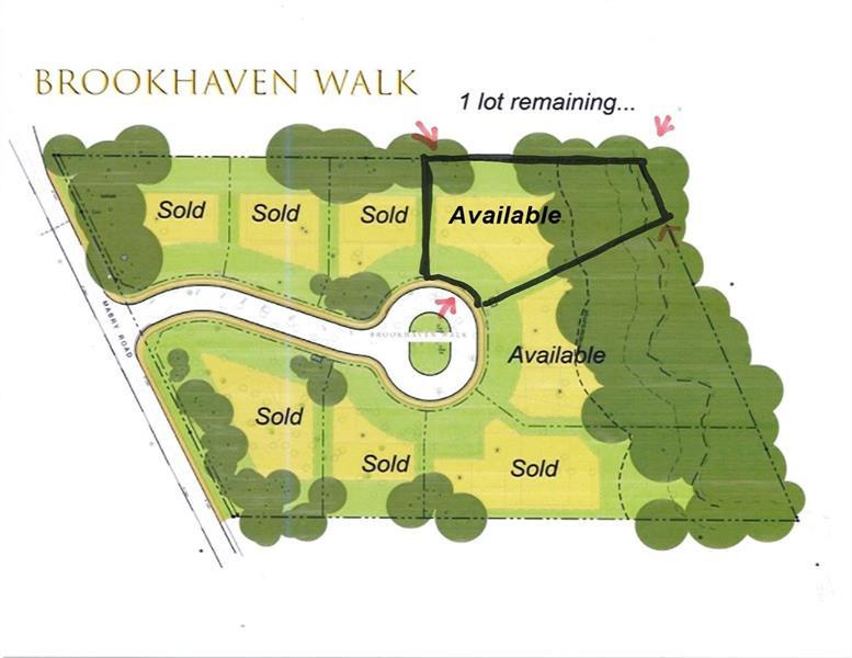 1152 Brookhaven Walk Way - Photo 1