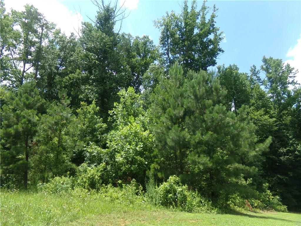 157 Mary Hill Lane - Photo 1