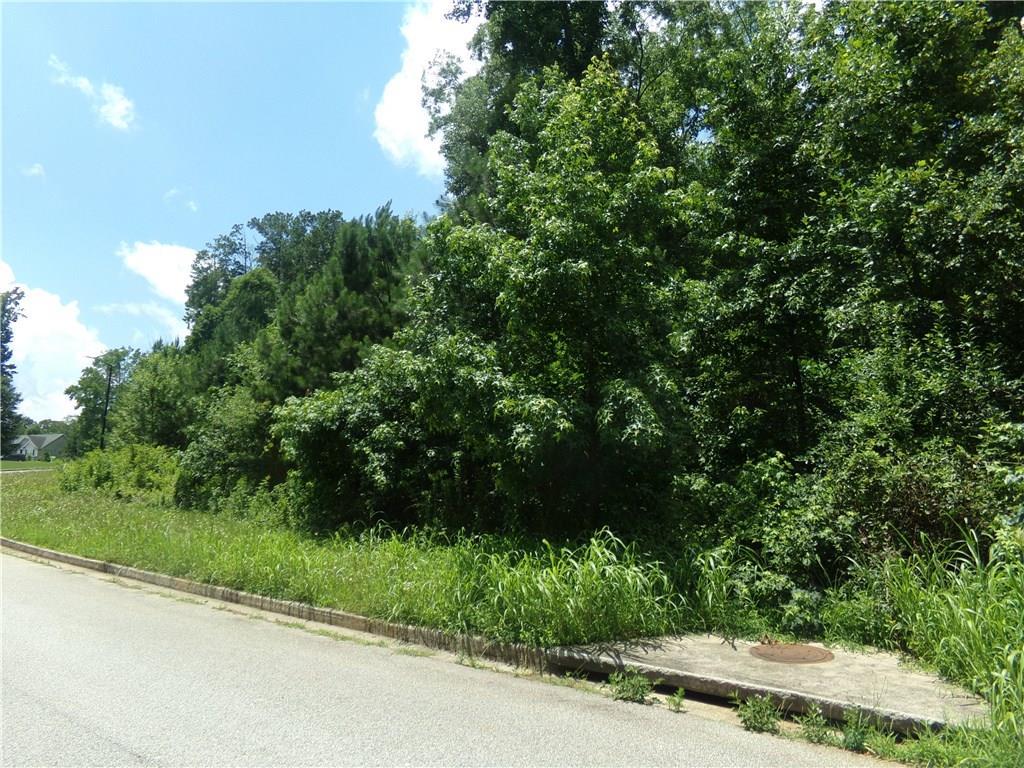 203 Mary Hill Lane - Photo 1