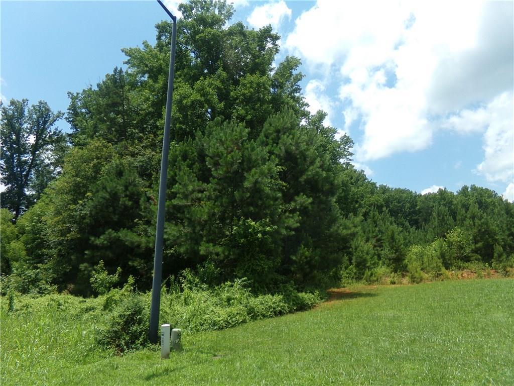275 Mary Hill Lane - Photo 1