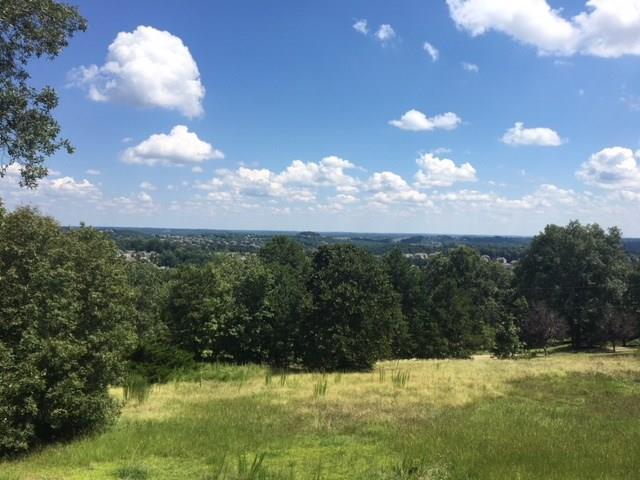 2216 Trammel Road - Photo 1