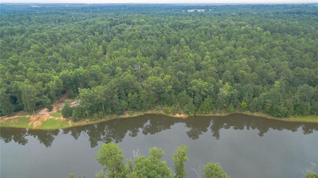 522 Alcovy Lakes Drive - Photo 1