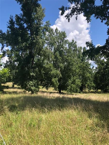 3840 Mason Creek Road - Photo 1