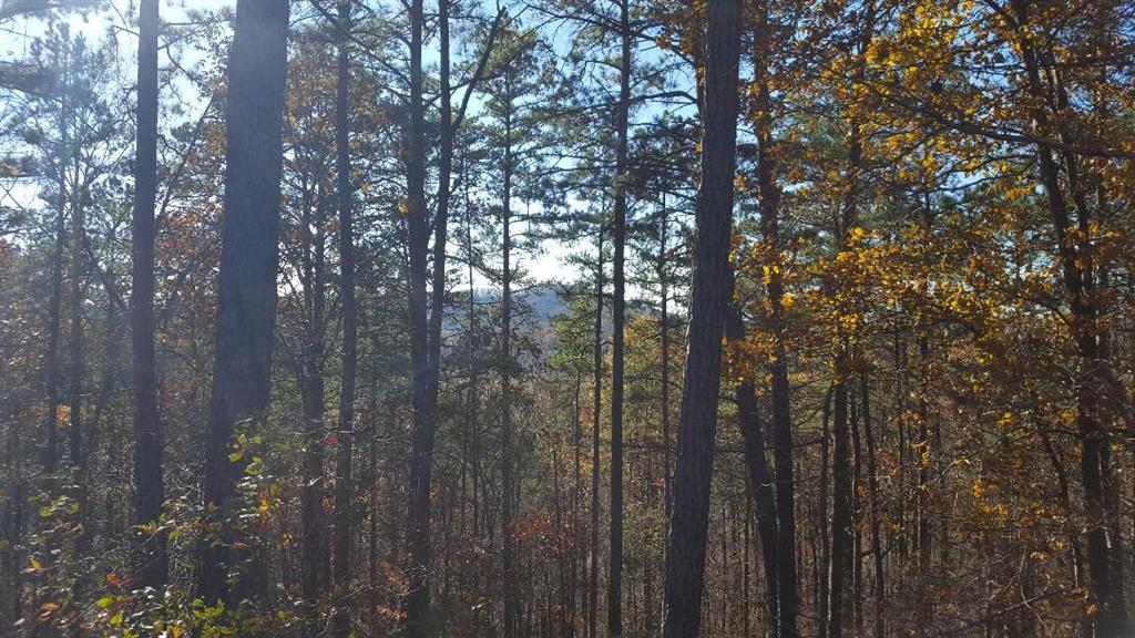 25 Sunset Ridge - Photo 1