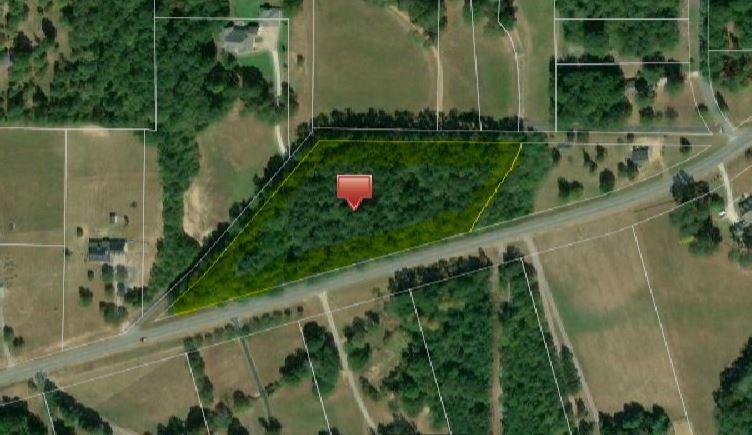 0 Old Piney Road - Photo 1