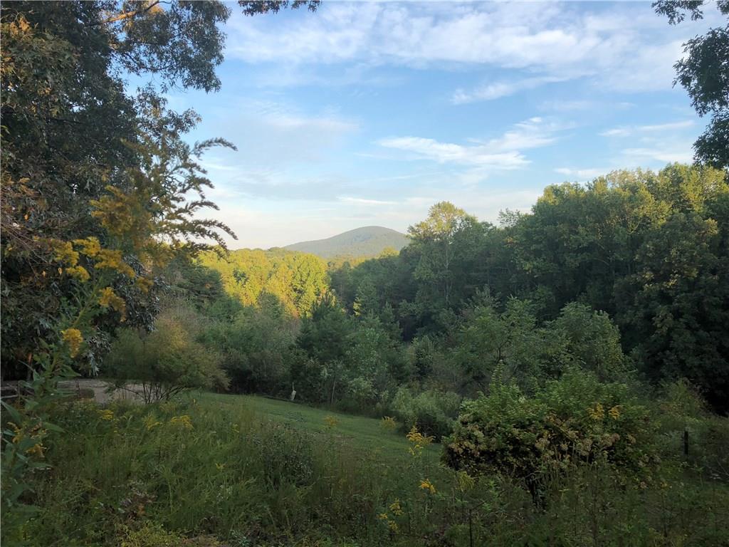 215 Chimney Springs Road - Photo 1