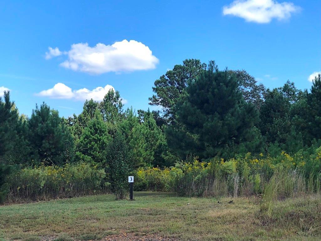 1182 Alcovy Road - Photo 1