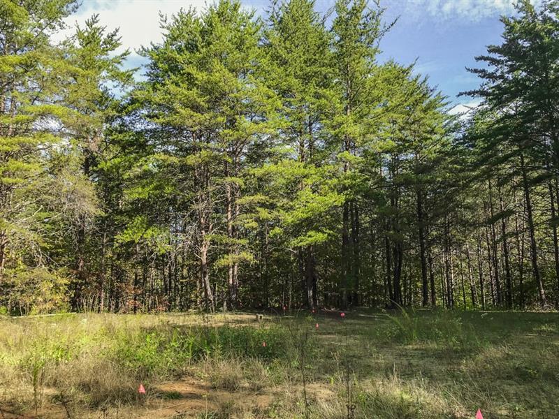 Lot 61 Chesterra Drive - Photo 1