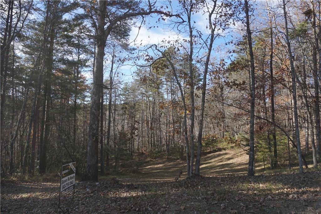 70 Yellow Bluff Road - Photo 1