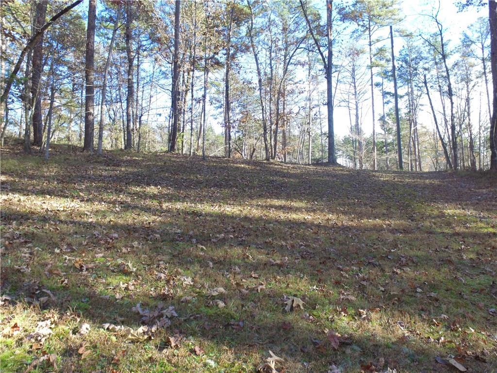 71 Yellow Bluff Road - Photo 1