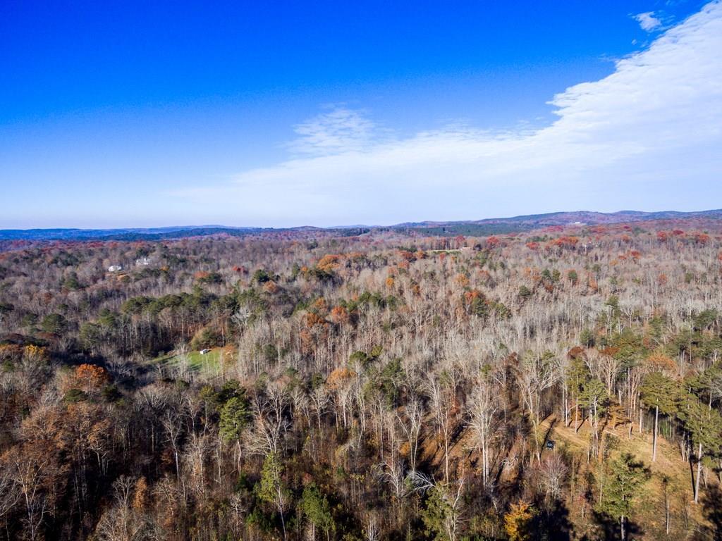 Lot 6 Town Creek Church Road - Photo 1