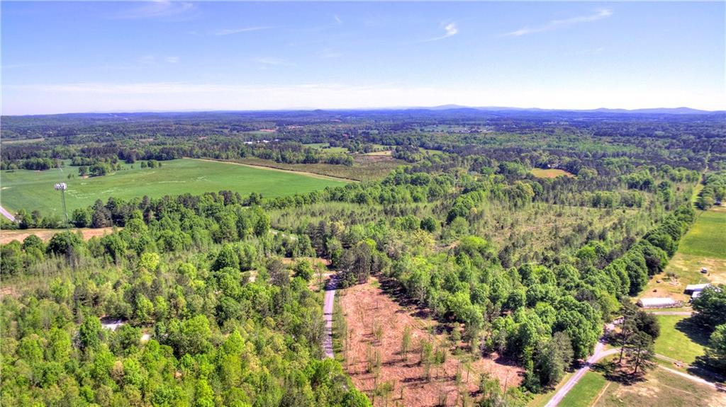 211 Lowery (16.1 Acres) Road - Photo 1