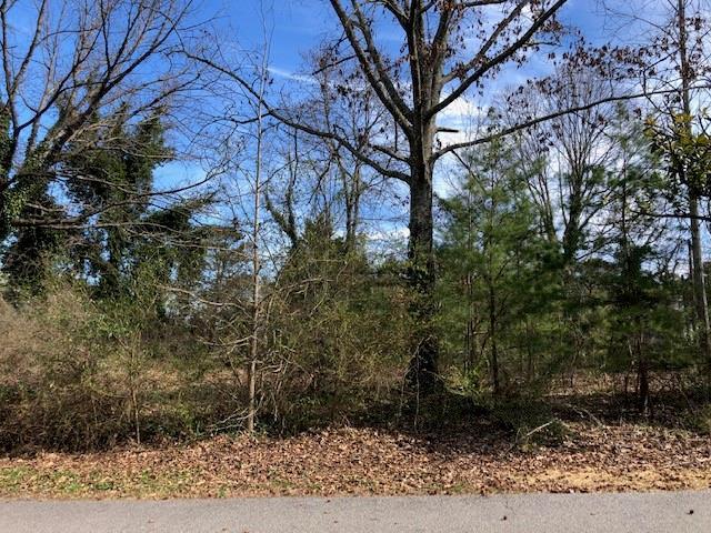 2135 Pinetree Drive - Photo 1
