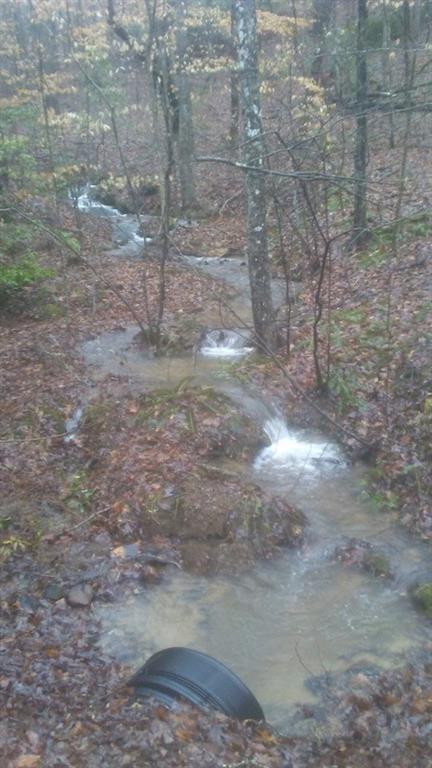 17 18 Forrest Creek Creek - Photo 1