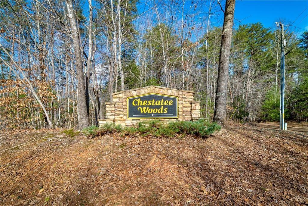 0 White Pine Drive - Photo 1