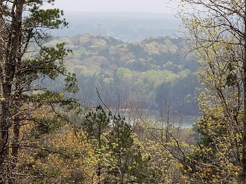 21 Signal Mtn Drive - Photo 1