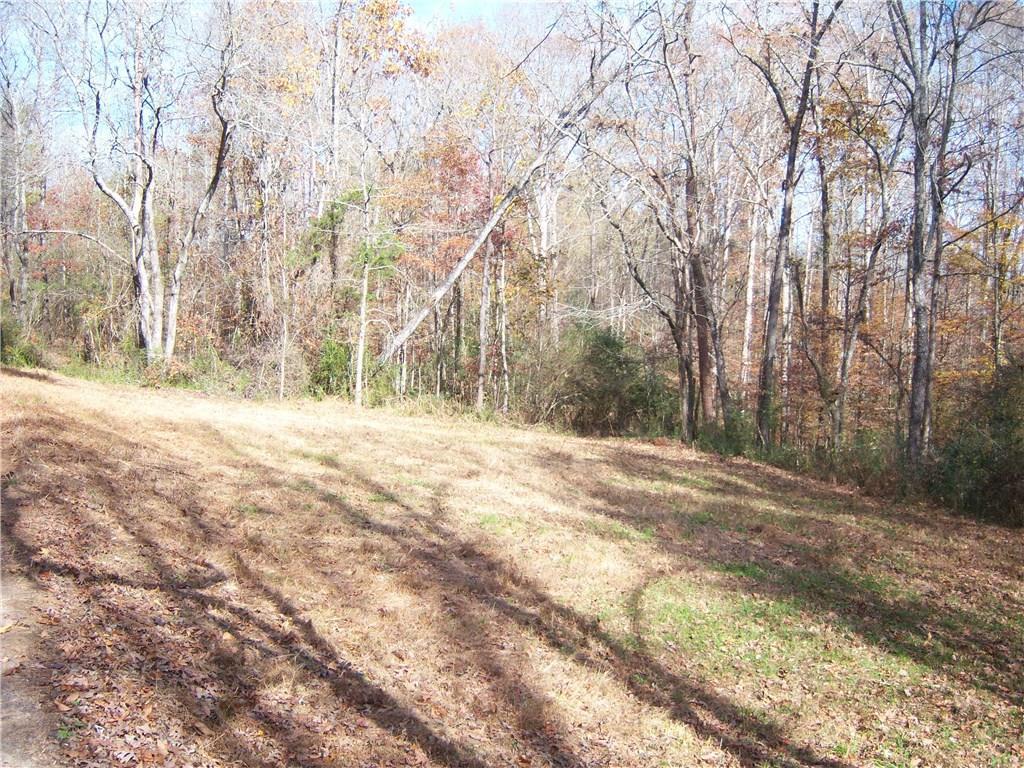 697 Newt Green Road - Photo 1