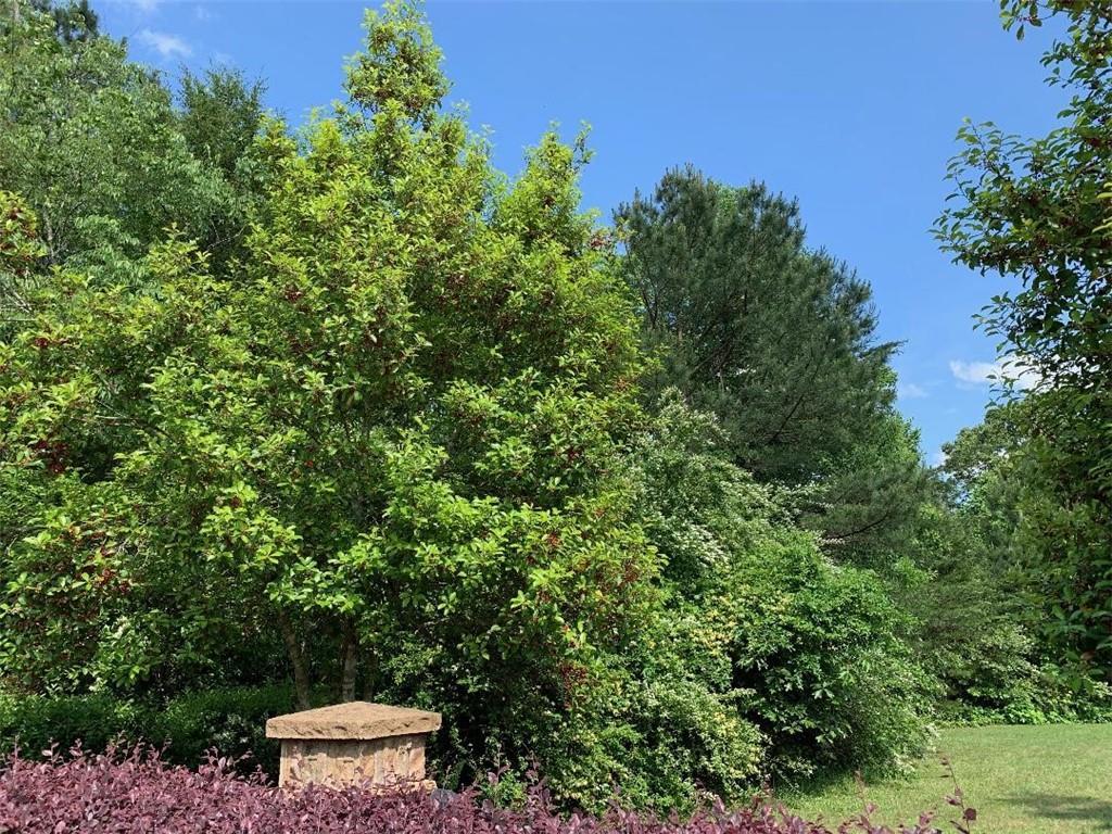 4898 Price Road Circle - Photo 1