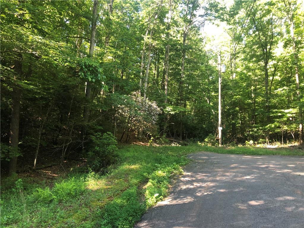 2.9 Ac Georgia Avenue - Photo 1
