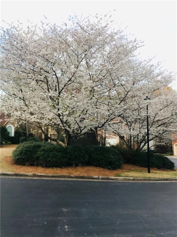1914 Connemara Drive - Photo 1