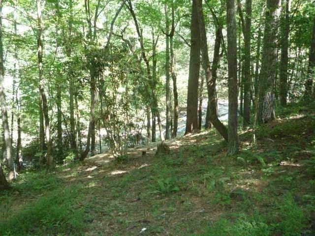 34D Valhalla Drive - Photo 1