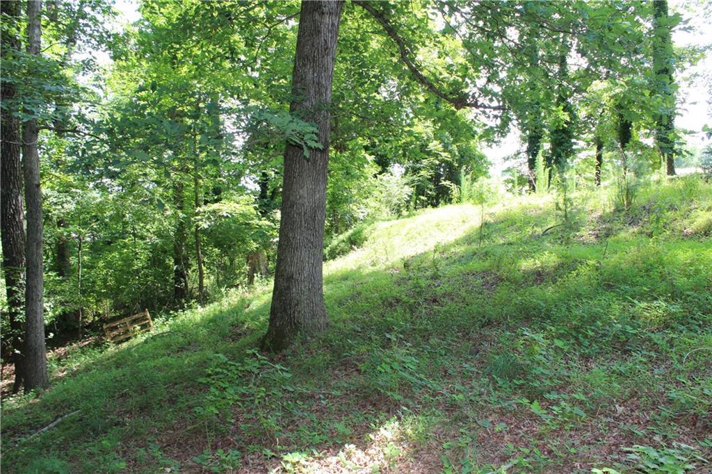 6915 Flowery Branch Road - Photo 1