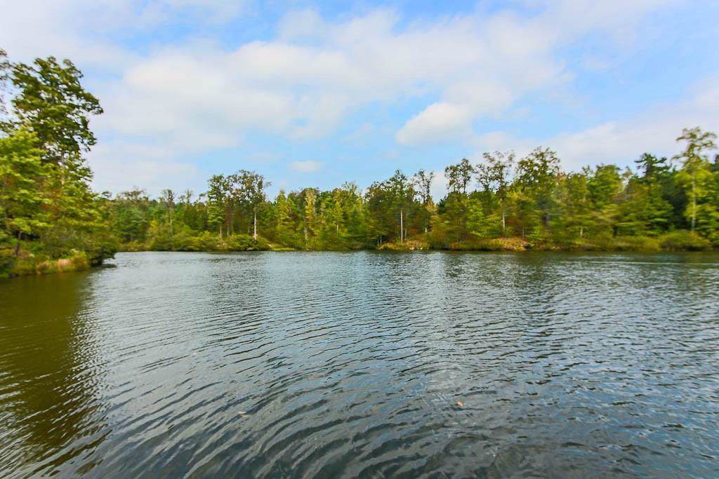 101 Lake Kenelle Path - Photo 1