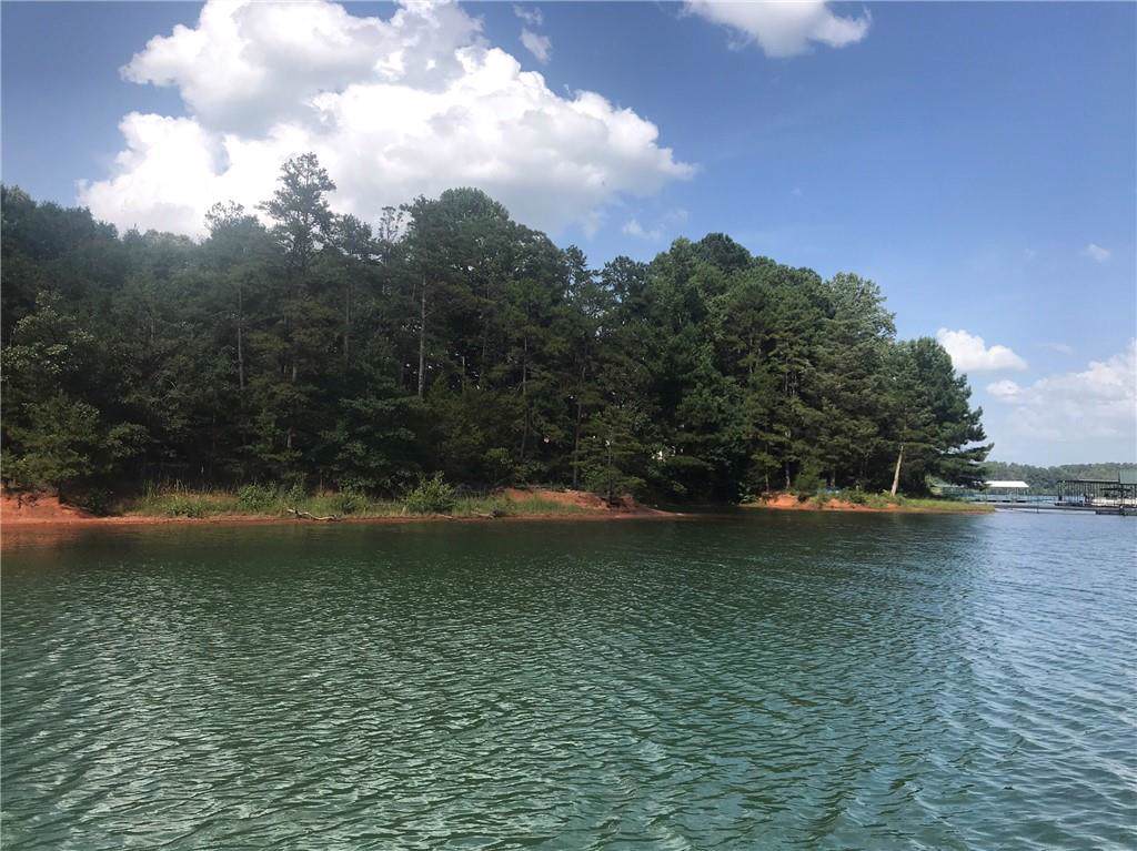 0 Reed Creek Highway - Photo 1