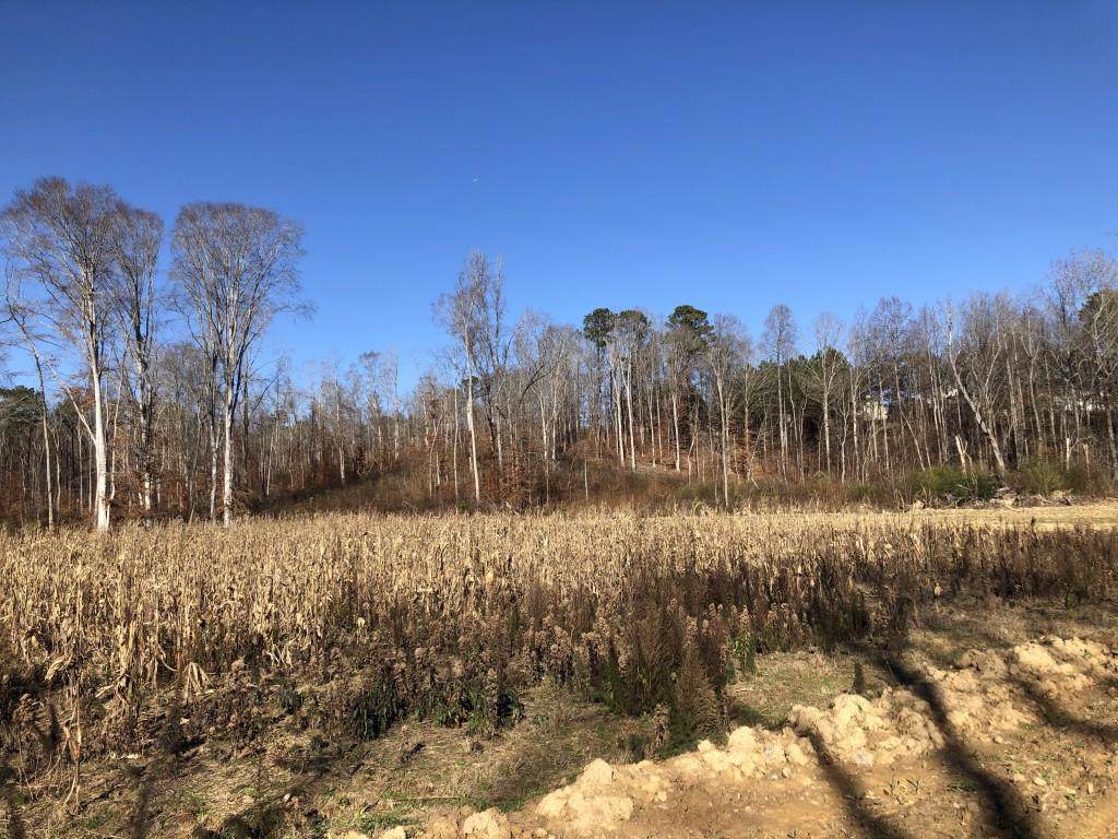 3000 Cascade Palmetto Highway - Photo 1 3000 Cascade Palmetto Highway - Photo 1
